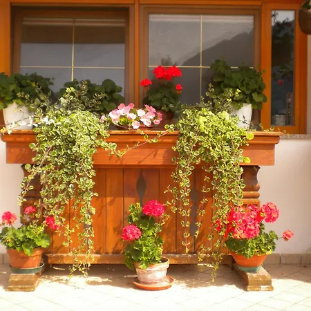 Bed and breakfast Krajnc
