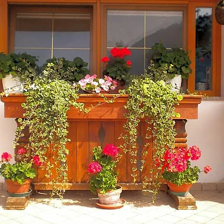 Krajnc B&B 말보르게토 발브루나