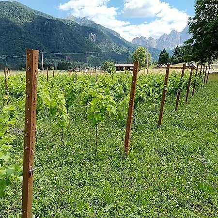 阿菲塔卡梅乐克拉恩克酒店 3*