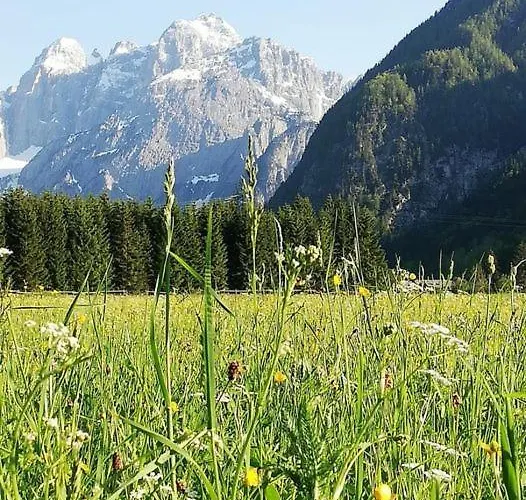 Oda ve Kahvaltı Krajnc