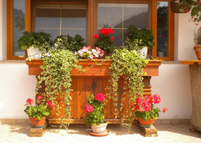 Oda ve Kahvaltı Krajnc